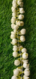 Jasmine String